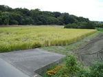 080927-04.jpg
