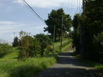 080927-1.jpg