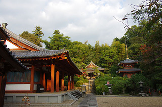 平等寺IMGP9018.JPG