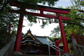 高尾山IMGP5456.JPG