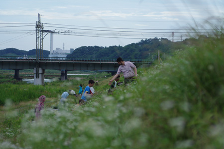 IMGP2197.jpg
